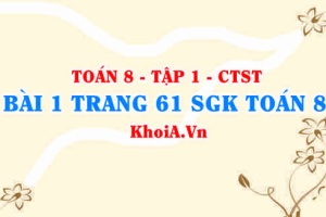 Bài 1 trang 61 SGK Toán 8 Tập 1 Chân trời sáng tạo